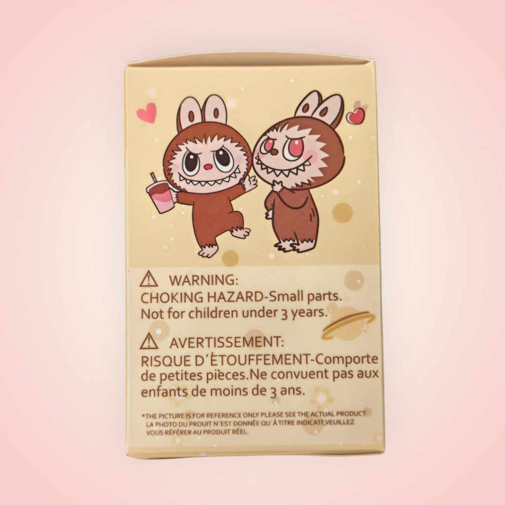 Boîte mystère figurine Labubu