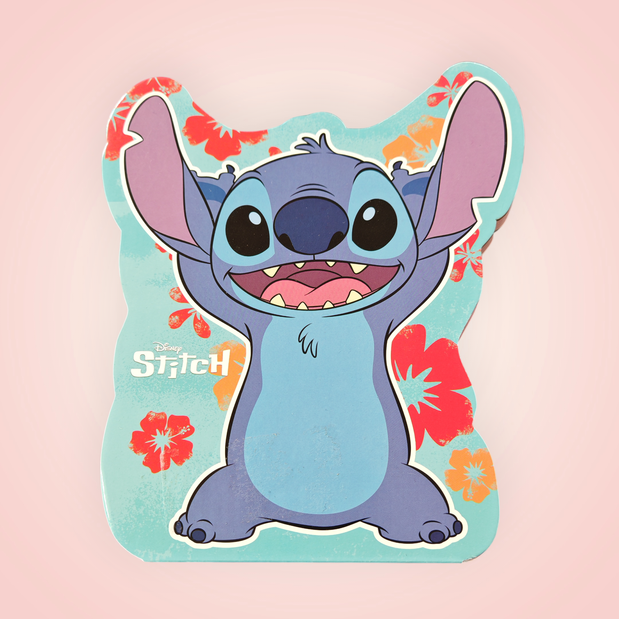 Palette maquillage stitch