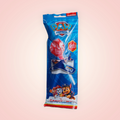 Sucette avion pat patrouille