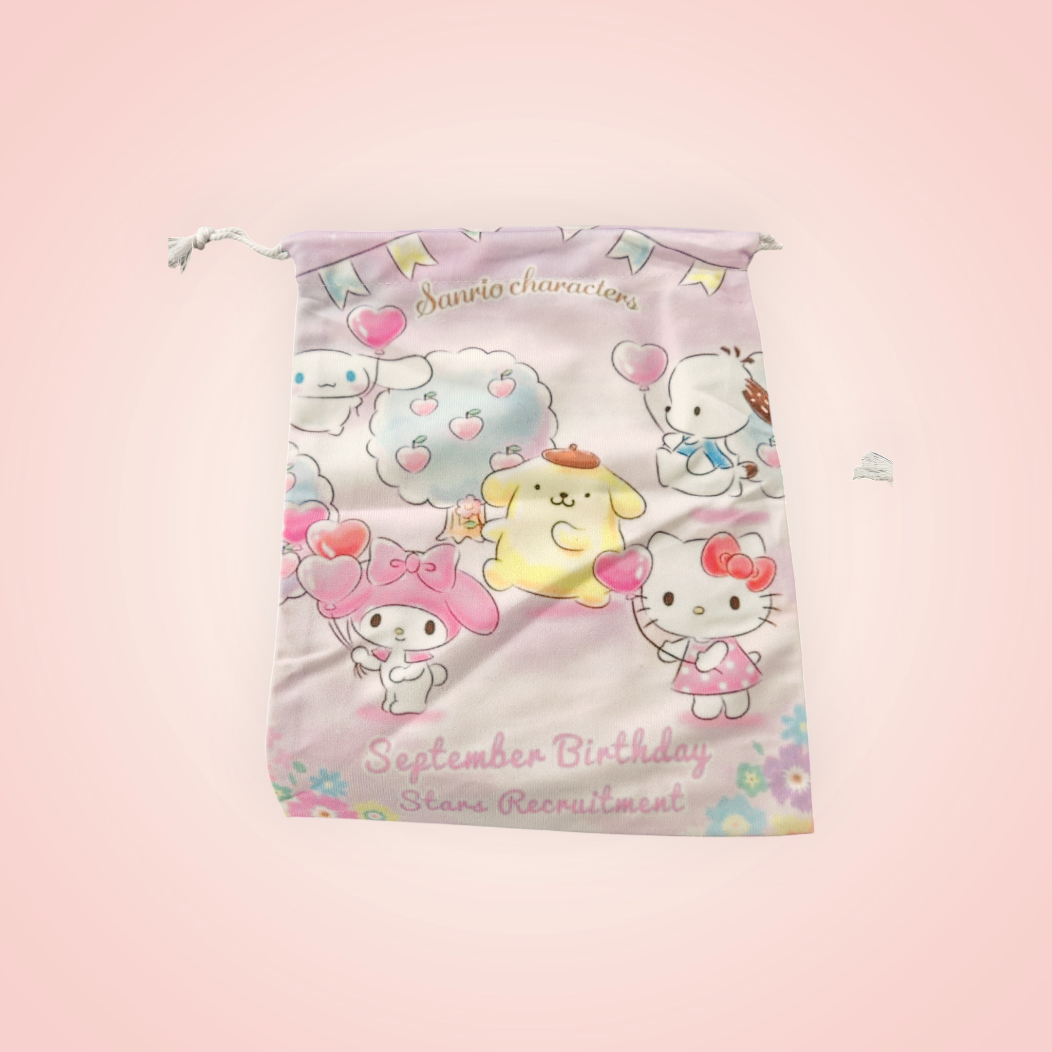 Pochette hello kitty grande